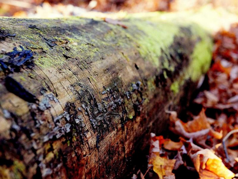 sudoku logic solving screenshot 3